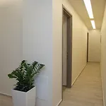 لايت بلو ويندو كاماري شقة *